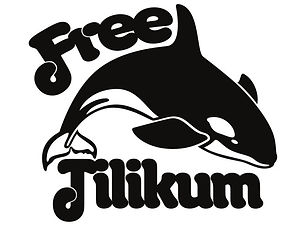 free tillikum.jpg