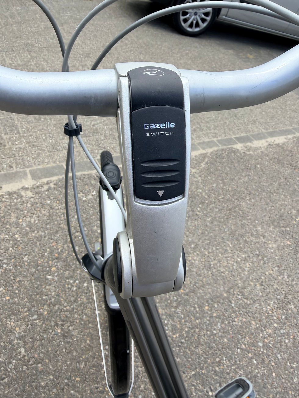 Thumbnail: Gazelle Paris Plus