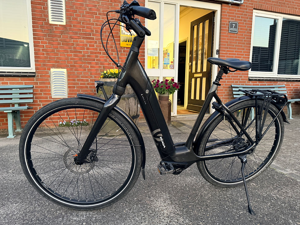Thumbnail: Exclusieve Koga E Nova EVO Pt Bosch met Riem