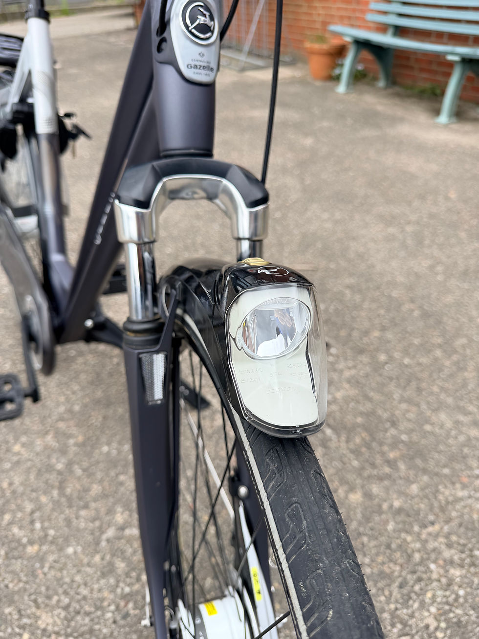 Thumbnail: Prachtige Gazelle Eclipse LTD 8 versnellingen