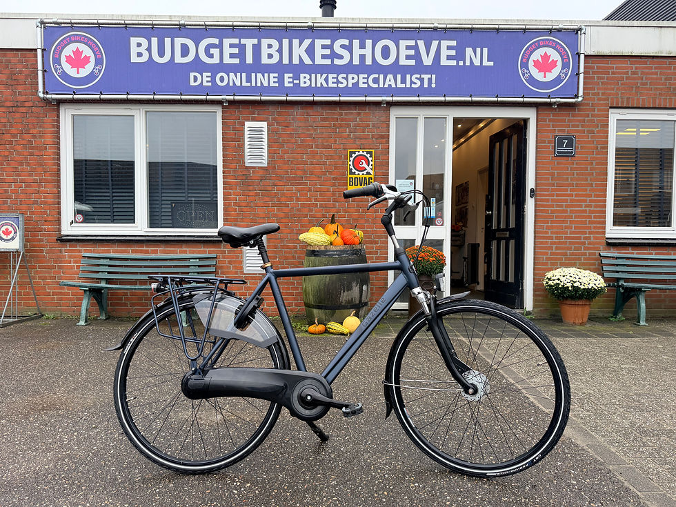 Thumbnail: Gazelle Orange C7 recent model..