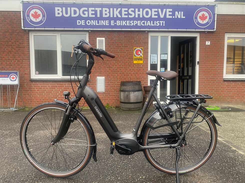 Thumbnail: Gazelle Arroyo (Grenoble)Bosch accu 500w