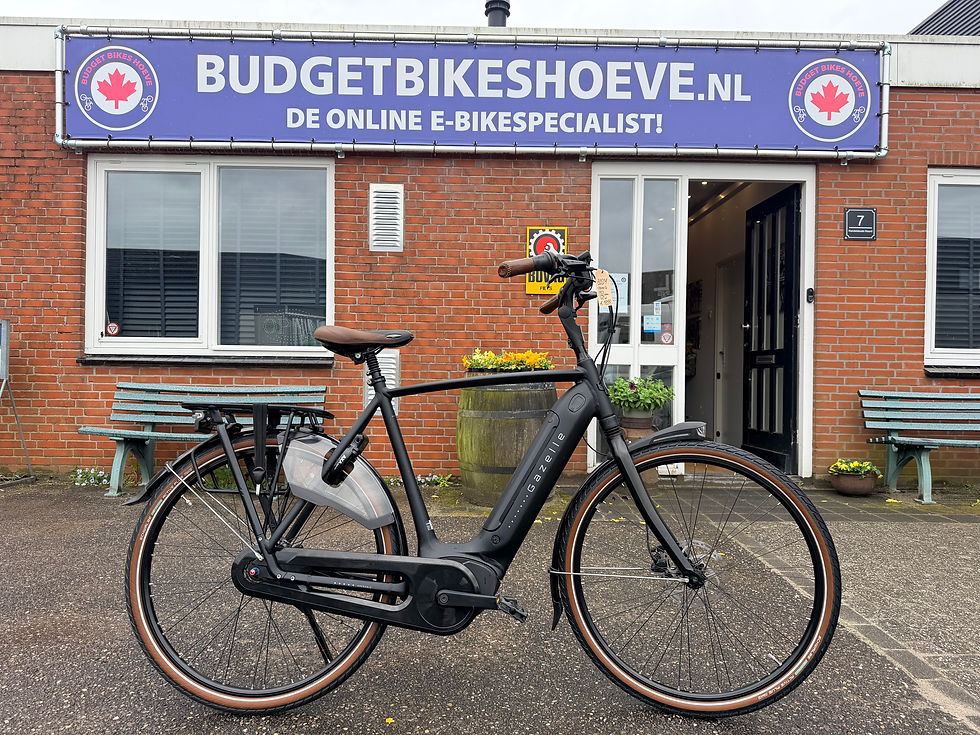 Thumbnail: Gazelle Grenoble C8 Elite Schijfrem