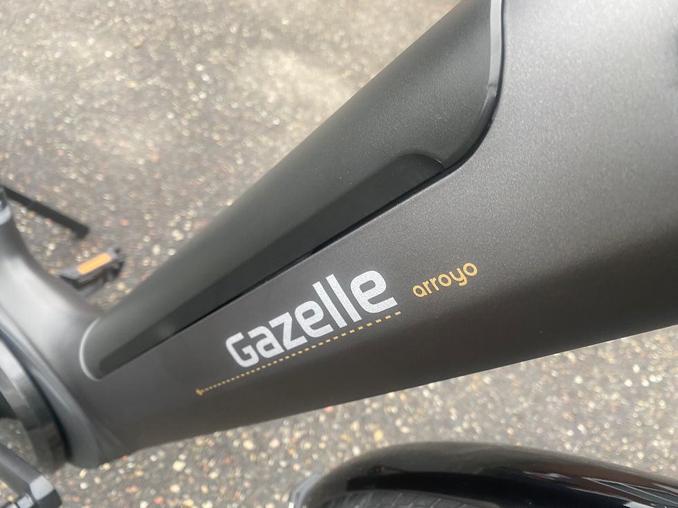 Thumbnail: Gazelle Arroyo (Grenoble)Bosch accu 500w