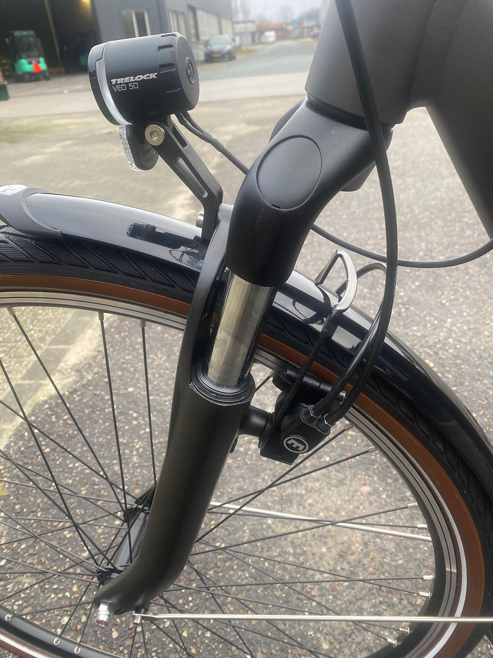 Thumbnail: Gazelle Arroyo (Grenoble)Bosch accu 500w