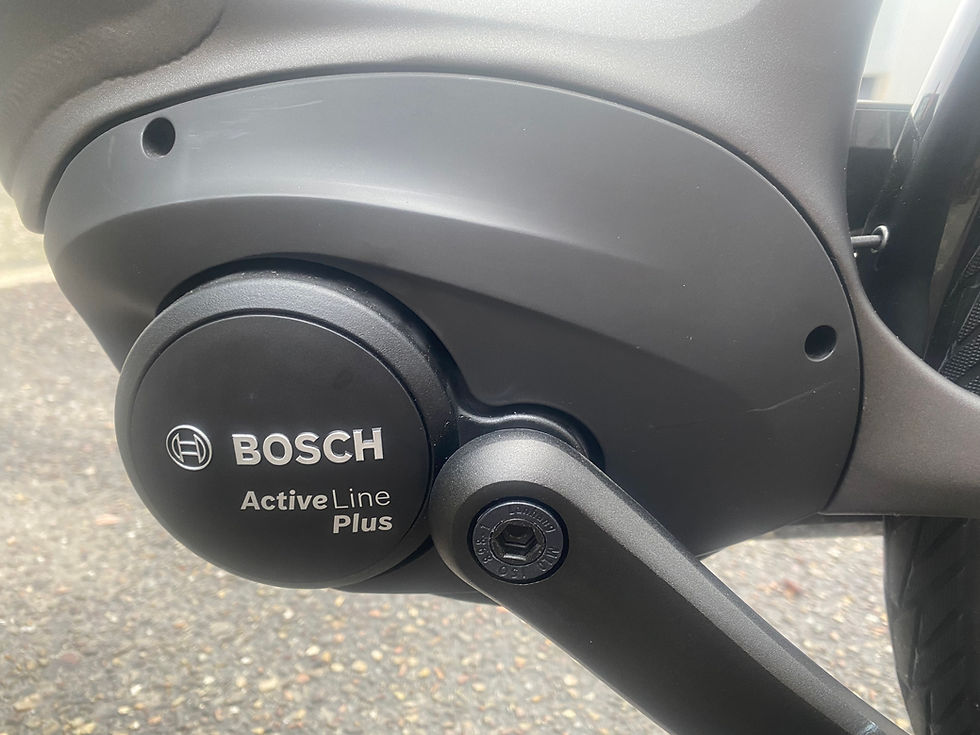 Thumbnail: Gazelle Arroyo (Grenoble)Bosch accu 500w