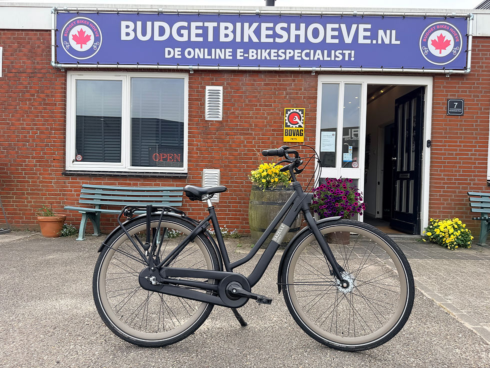 Thumbnail: Trendy Gazelle Esprit T3 nieuwstaat