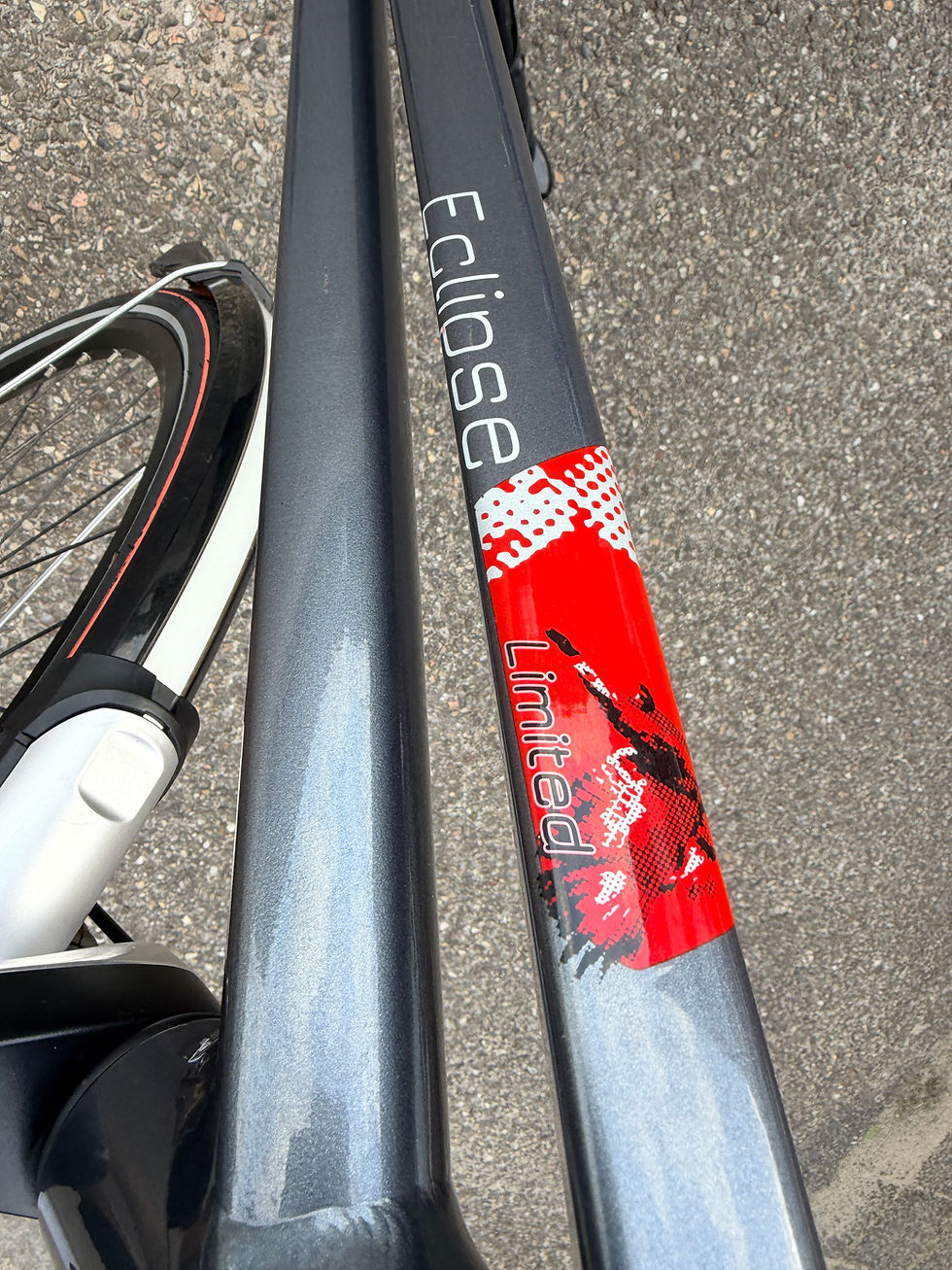 Thumbnail: Gazelle Eclipse N8 Sportief model