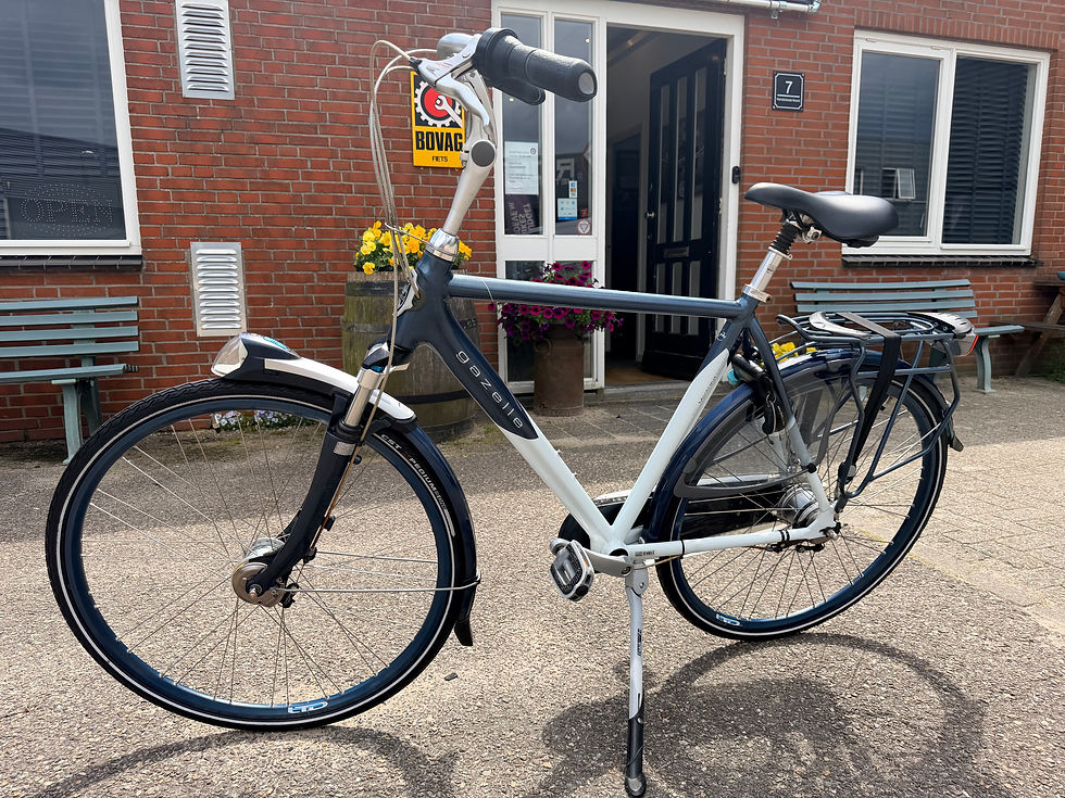 Thumbnail: Gazelle Montreux LTD stads/tourfiets Nexus 8 versn