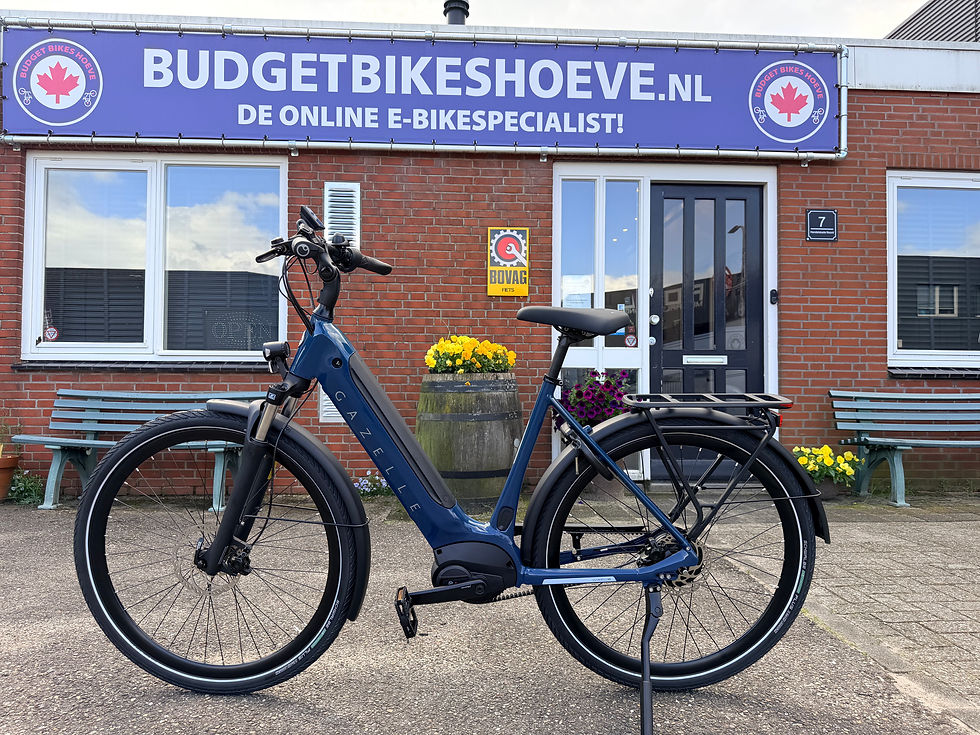 Thumbnail: Gazelle Ultimate C380 Bosch Performance Nuvinci