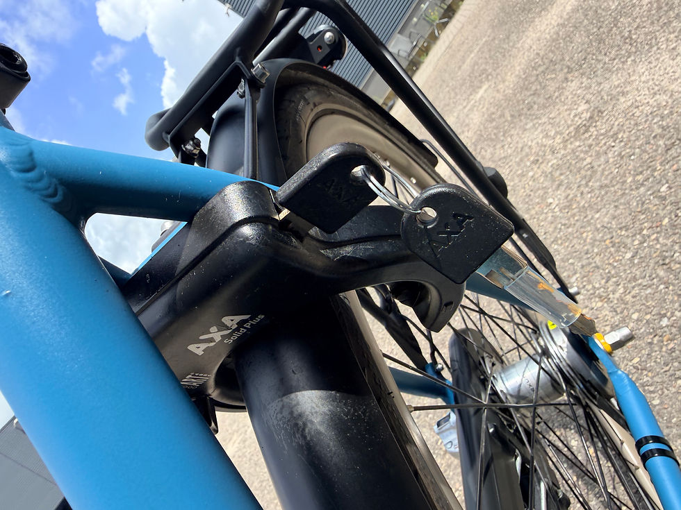 Thumbnail: Gazelle Esprit N3 trendy stads/schoolfiets