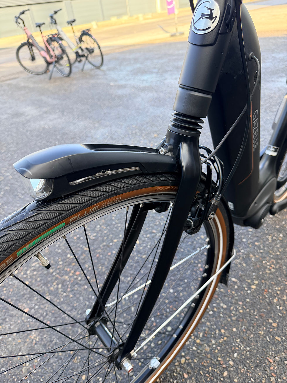 Thumbnail: Gazelle Grenoble C8 Bosch accu 500w weing km’s