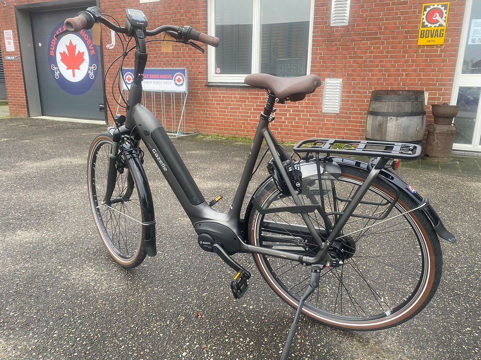 Thumbnail: Gazelle Arroyo (Grenoble)Bosch accu 500w
