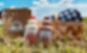 milk photo in field.jpg