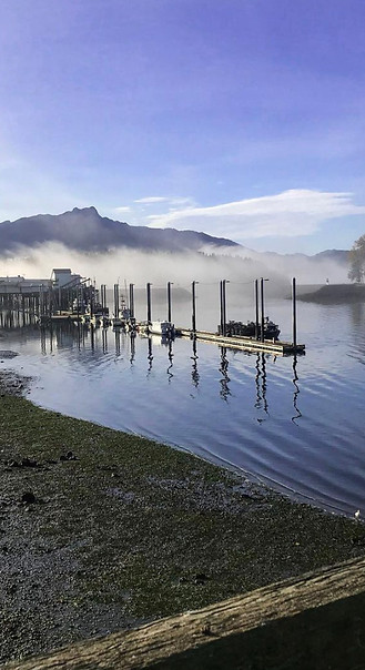fog.jpg