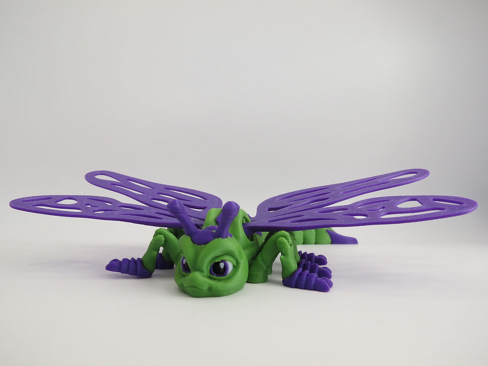 Thumbnail: Lenny the Dragonfly