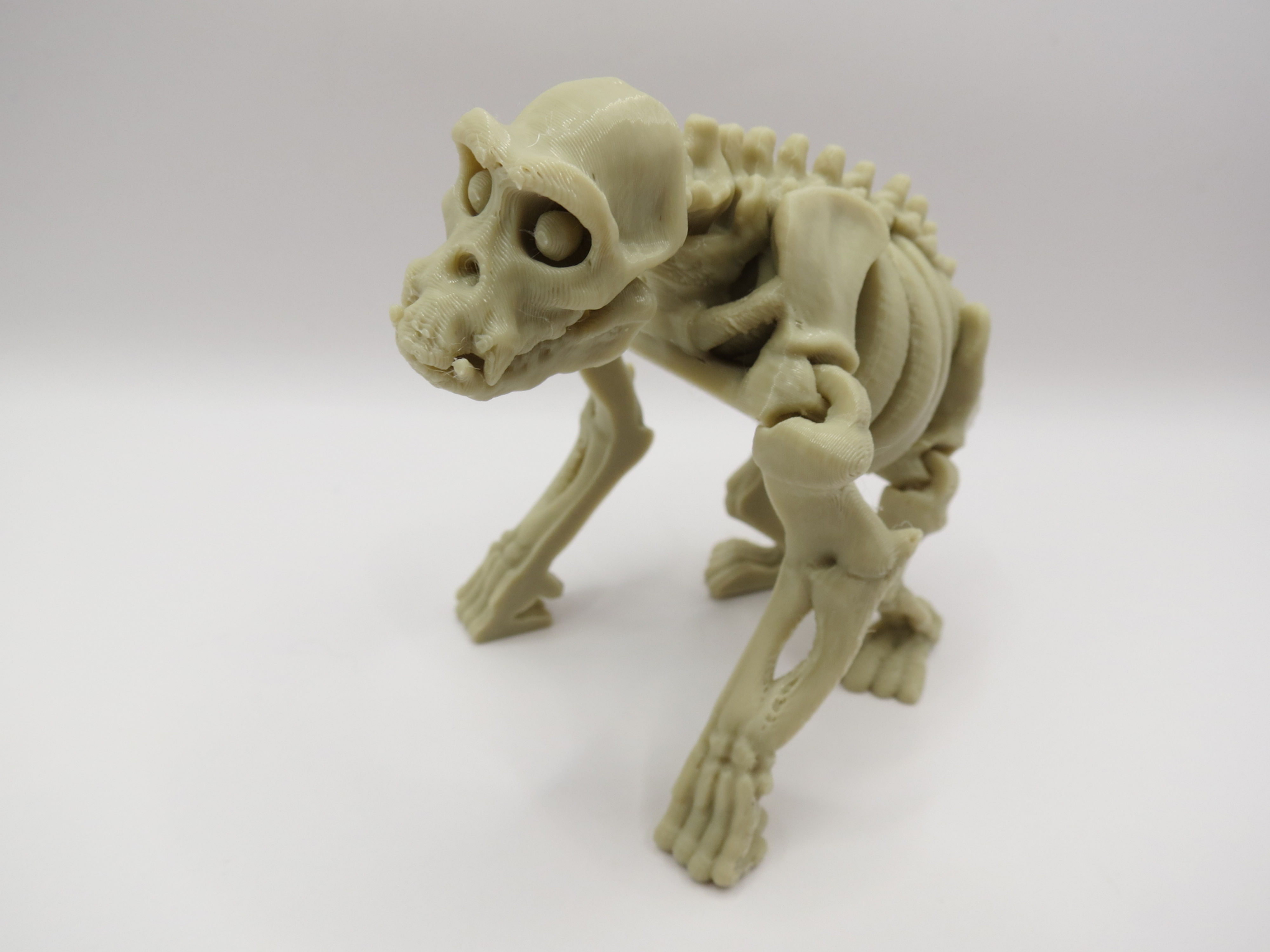 Skeleton Chimp