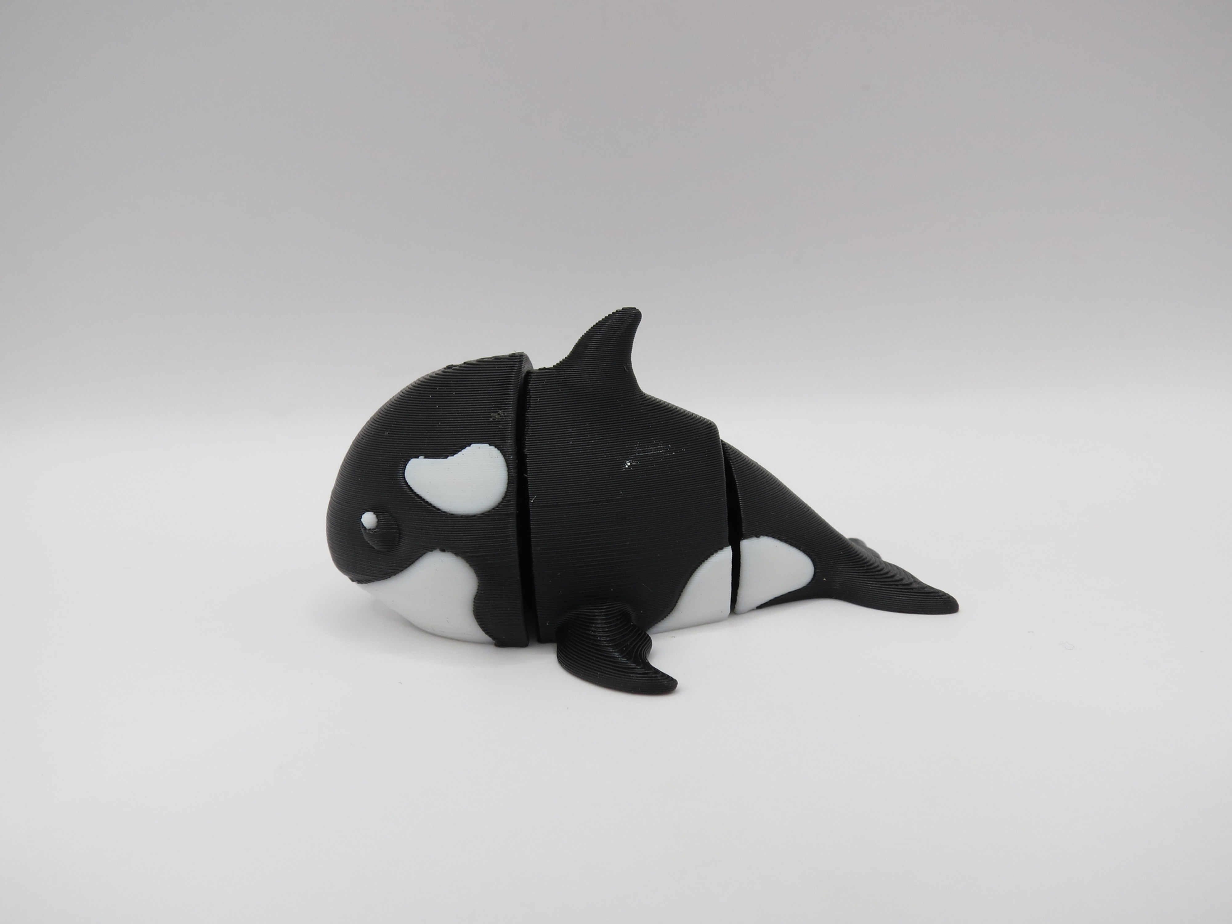 Orca