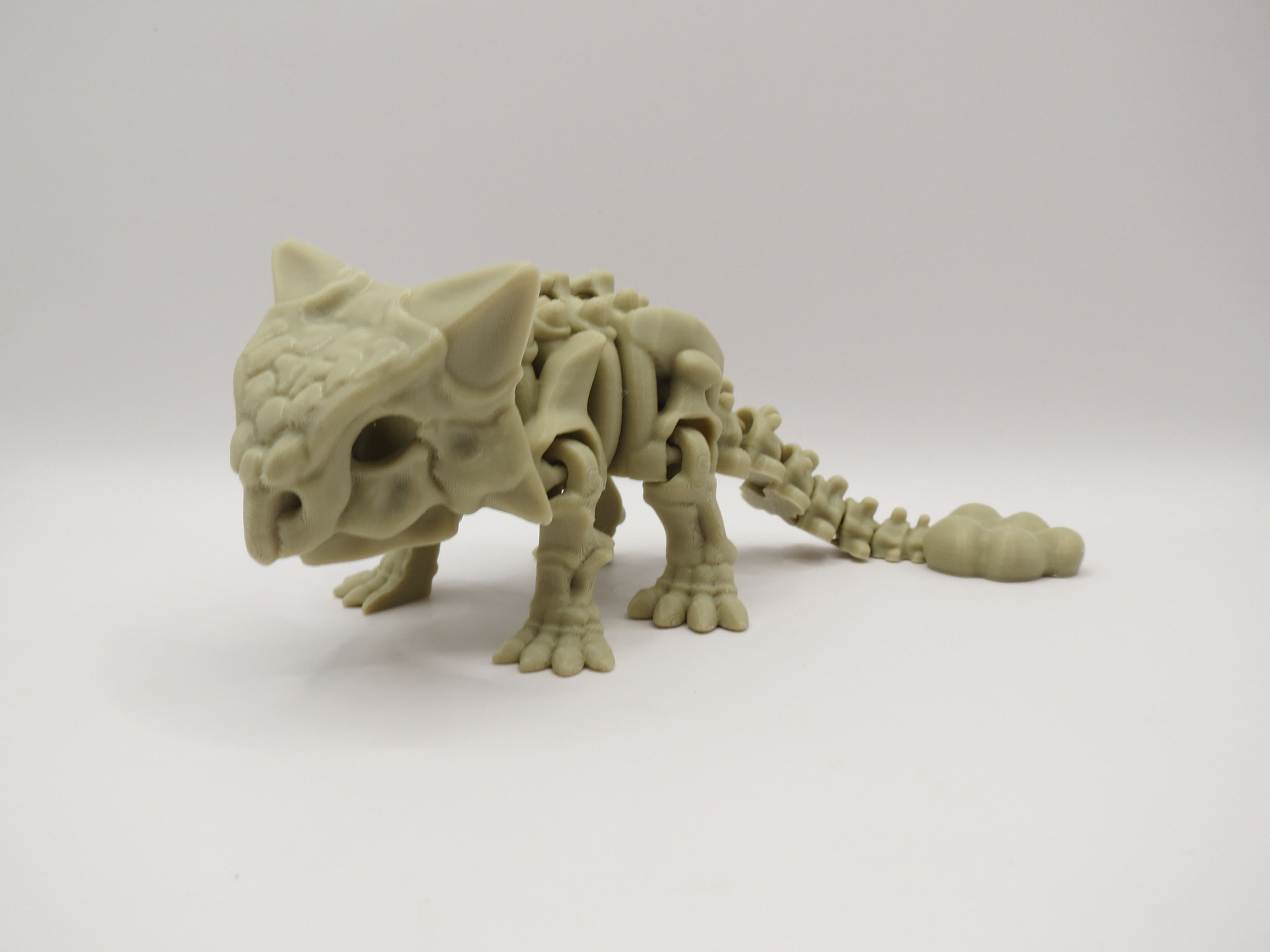 Skeleton Dinosaur - Ankylosaurus