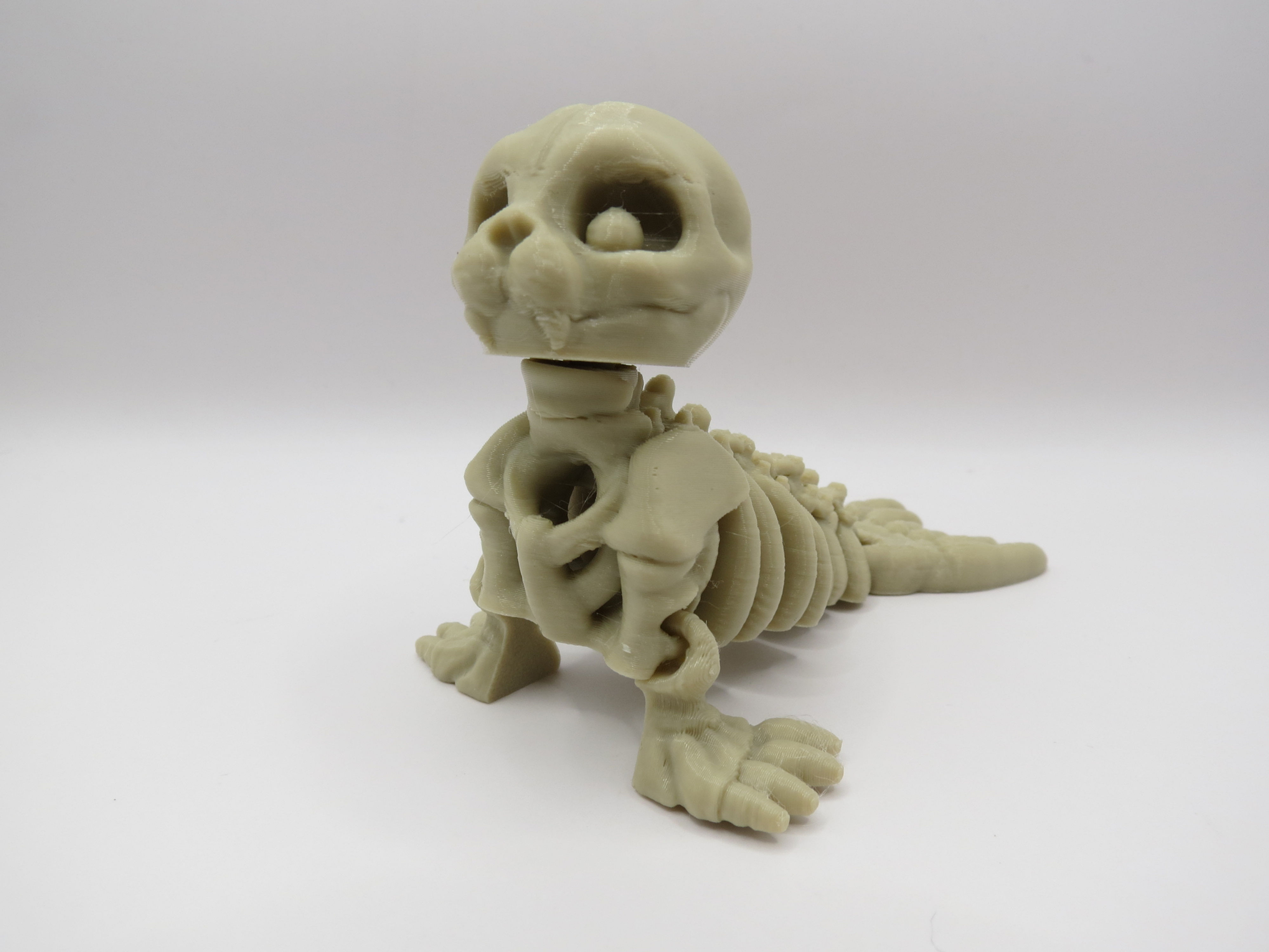 Skeleton Seal