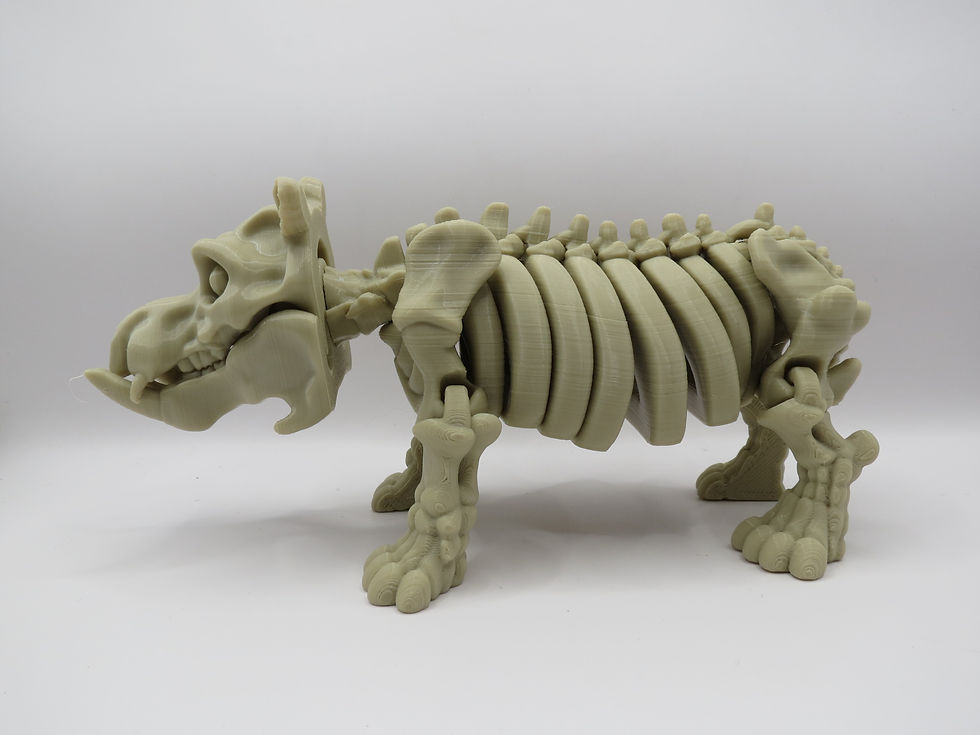 Thumbnail: Skeleton Hippo