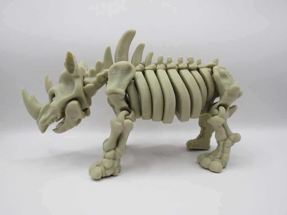 Thumbnail: Skeleton Rhino