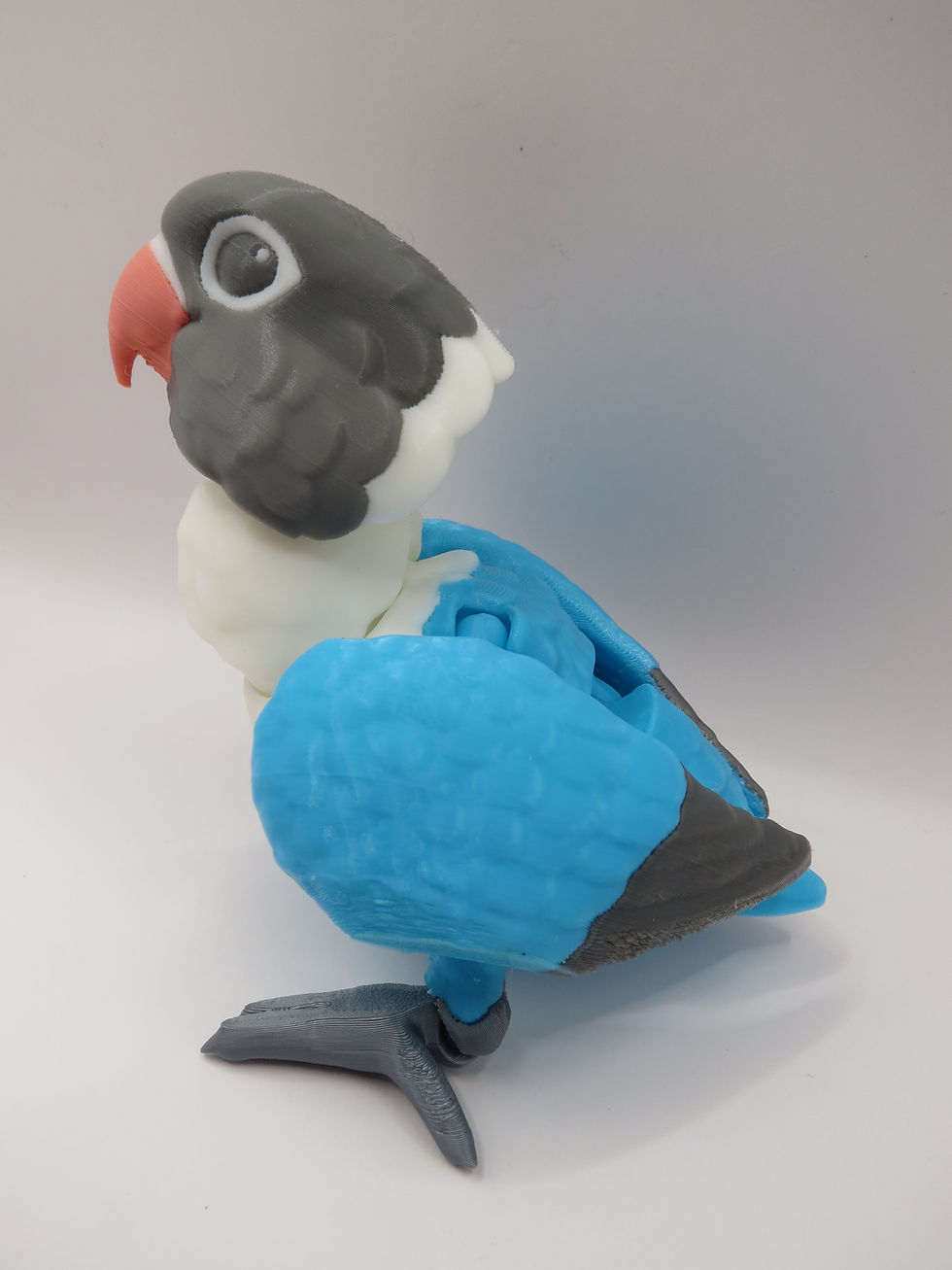 Thumbnail: Birds - Lovebird