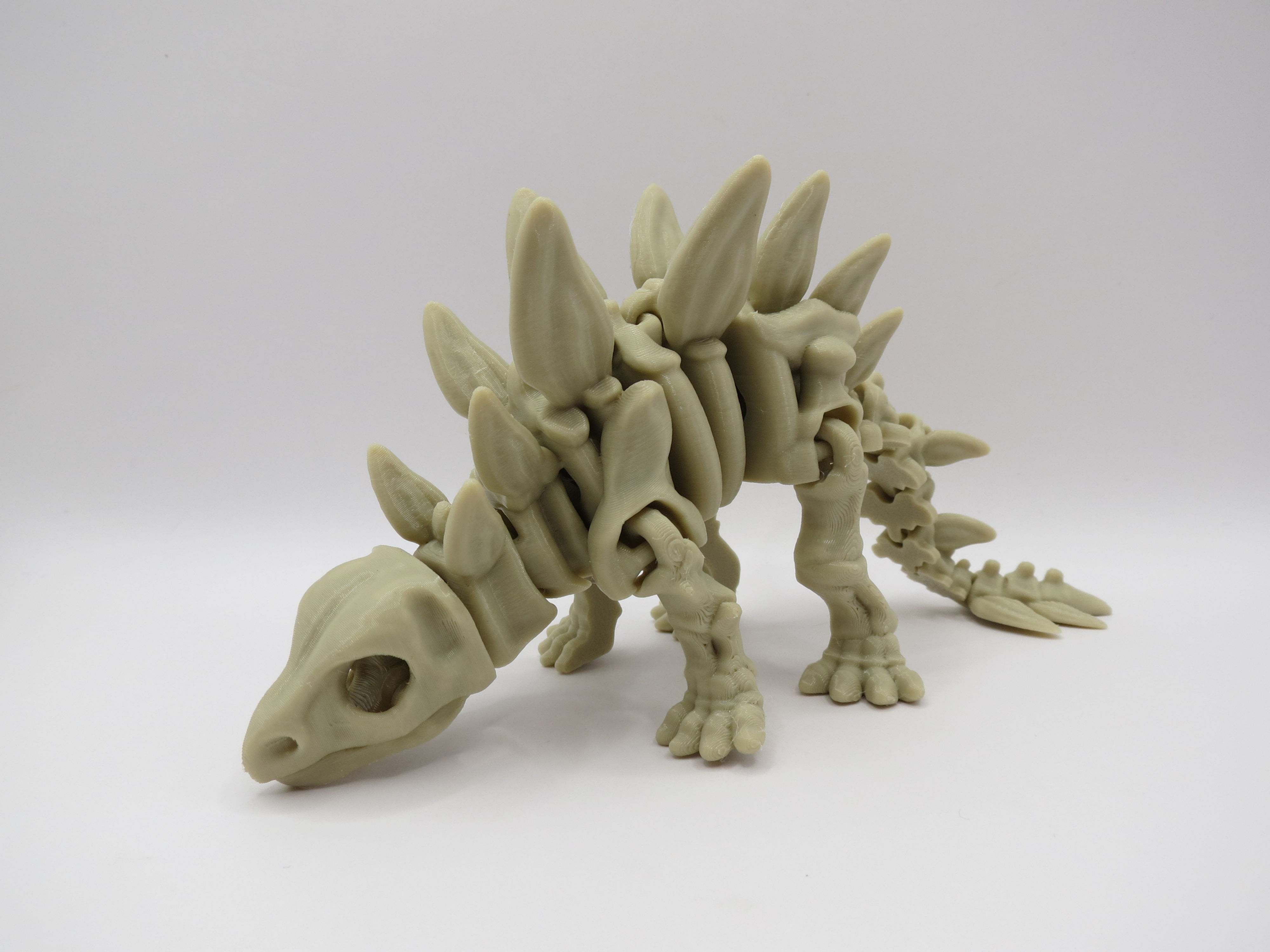 Skeleton Dinosaur - Stegosaurus