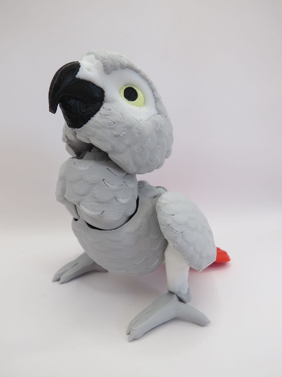 Thumbnail: Birds - African Grey