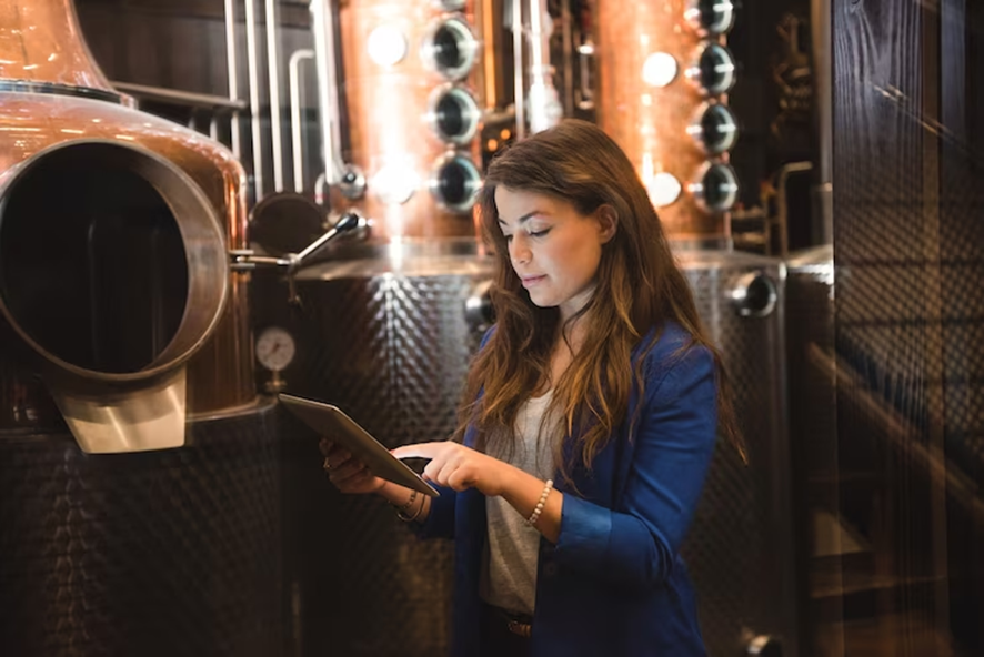 importação de vinhos no Brasil