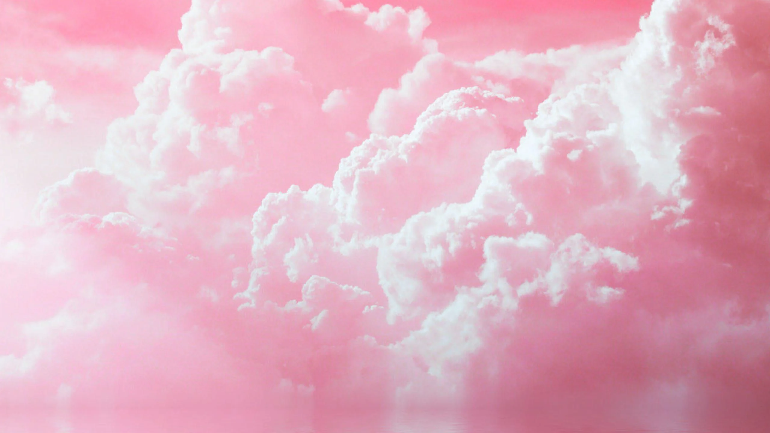wp5980872.webp