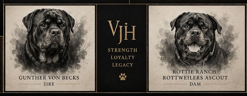 VJH_Gunther_and_Scout_Horizontal_Artwork.jfif
