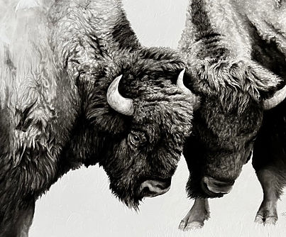 Confrontation 24x36_ Graphite $3,450.jpeg