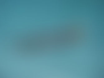 Seeotter vergewaltigen Robben