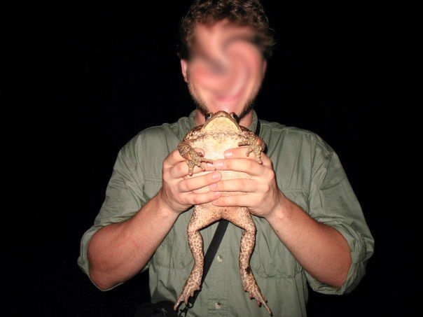 ein mann hält eine riesige kröte in den händen