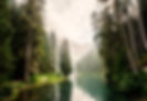 body of water surrounded by pine trees during daytime_edited.jpg