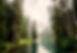body of water surrounded by pine trees during daytime_edited.jpg