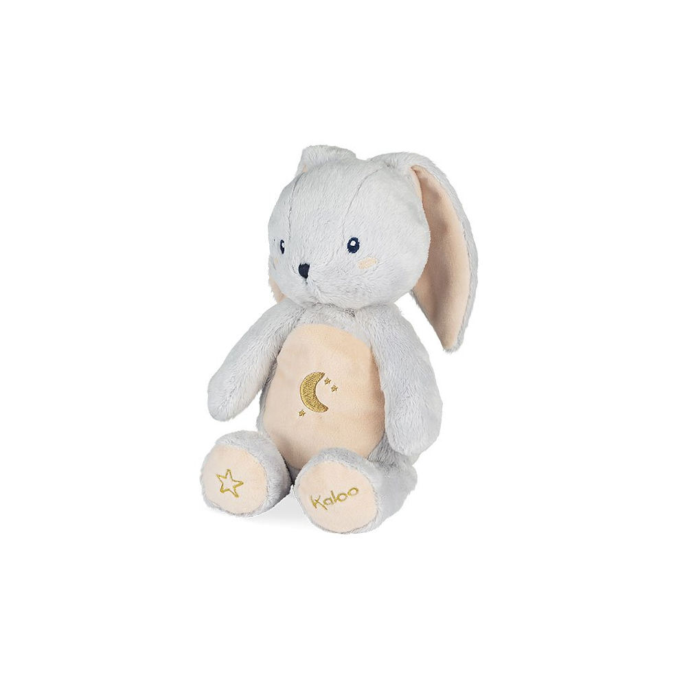Thumbnail: My Rabbit Nightlight
