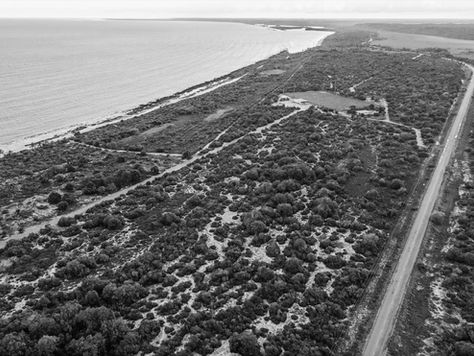 Longevity and Polo in Brazil