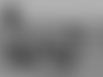 Copenhagen Polo Club Welcomes Strategic Investor