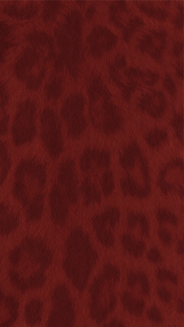 Leopard.png