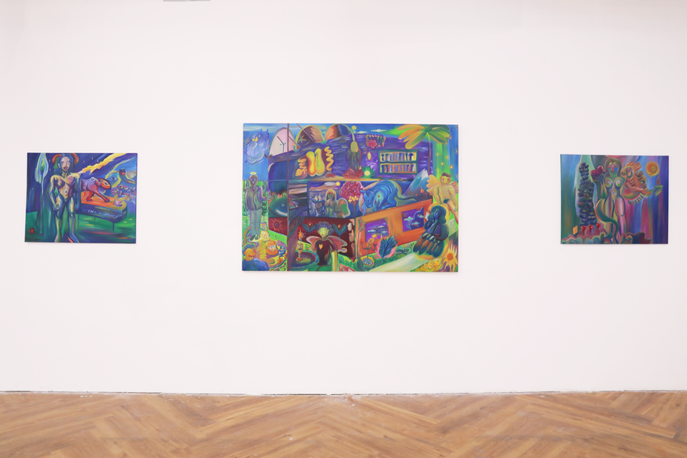 Dreamscapes Installation Shot