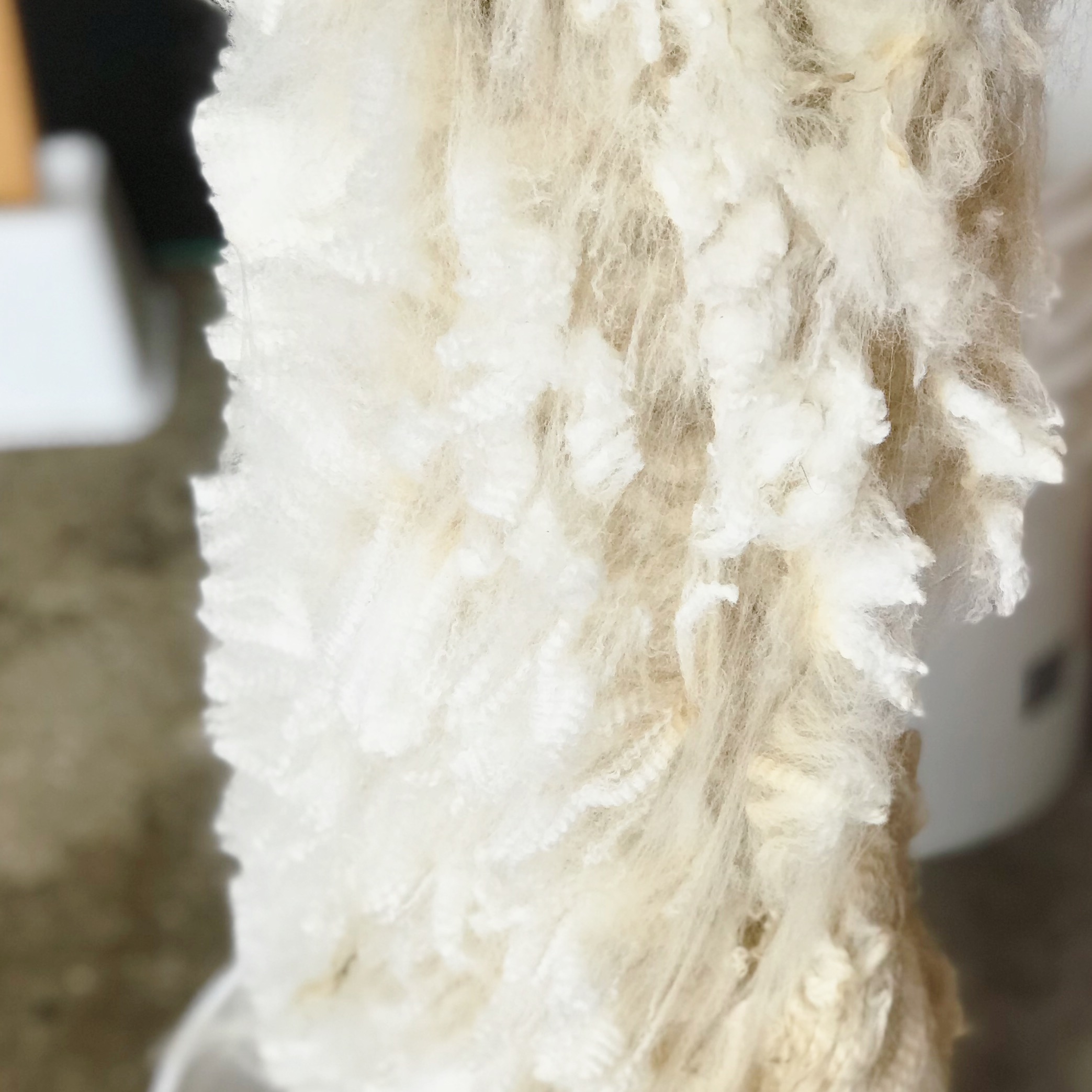 Fabulous Blanket to Process!