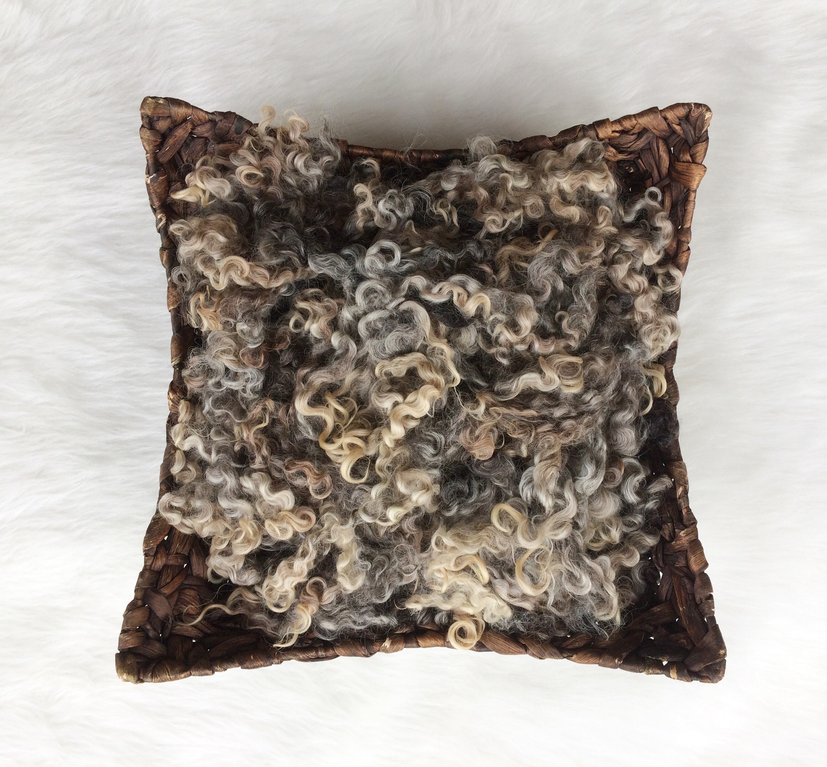 Lincoln Longwool