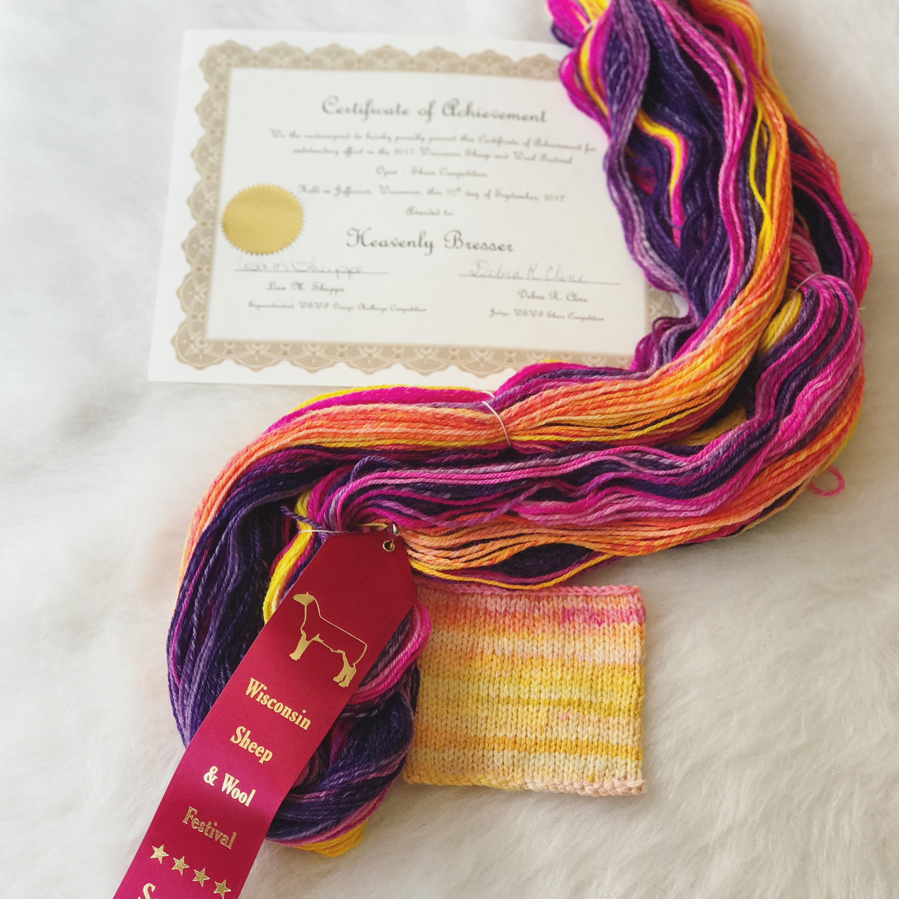 My First Skein Competition