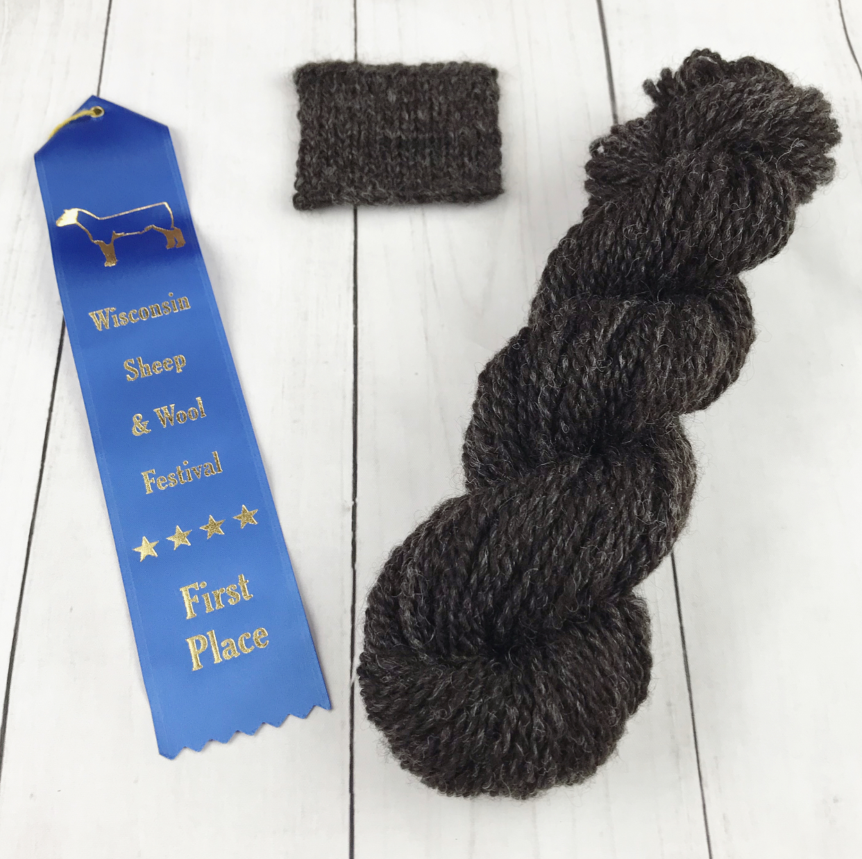 Wisconsin 2019 Competition