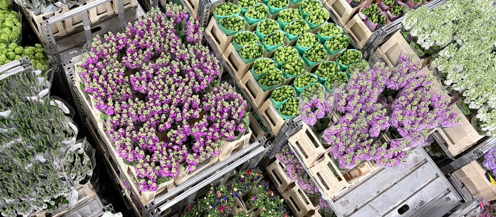 “Buying British” — A Cotswolds Wedding Florist’s Perspective on Sustainability and the Global Flower Trade