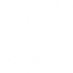 turtle (5).png