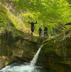 IMG_2013.jpeg