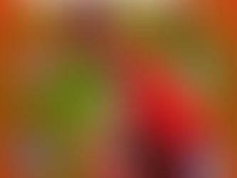 Less Than a Month From Showcase, More Universities Confirmed